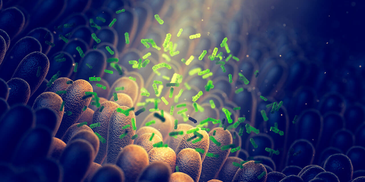 El microbioma intestinal en las etapas de la vida