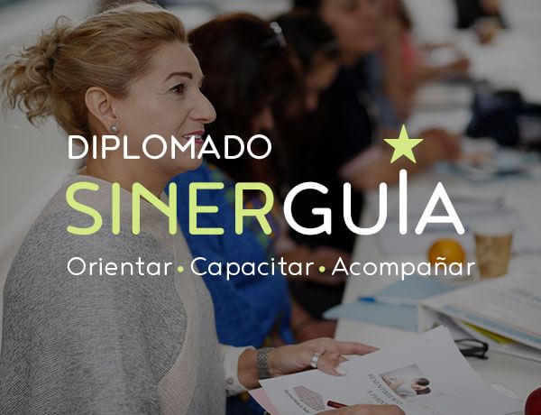DIPLOMADO SINERGUÍA