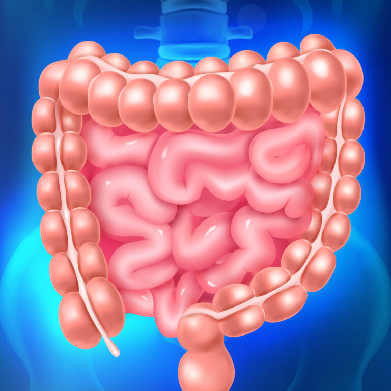 Cómo mantener una adecuada salud intestinal